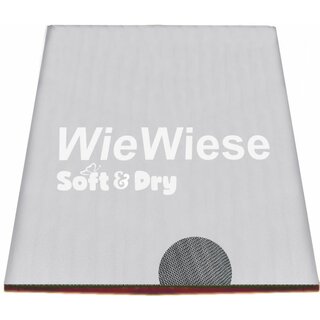 WieWiese *Soft&Dry* auf Kunststoffrahmen 200x300cm